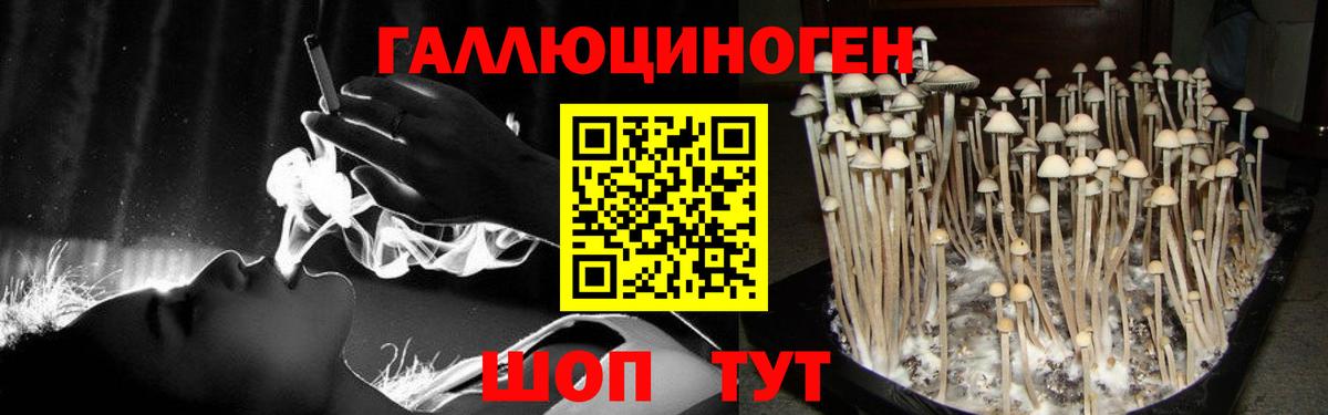 Галлюциногенные грибы мухоморы  Вход с VPN  Волгодонск 